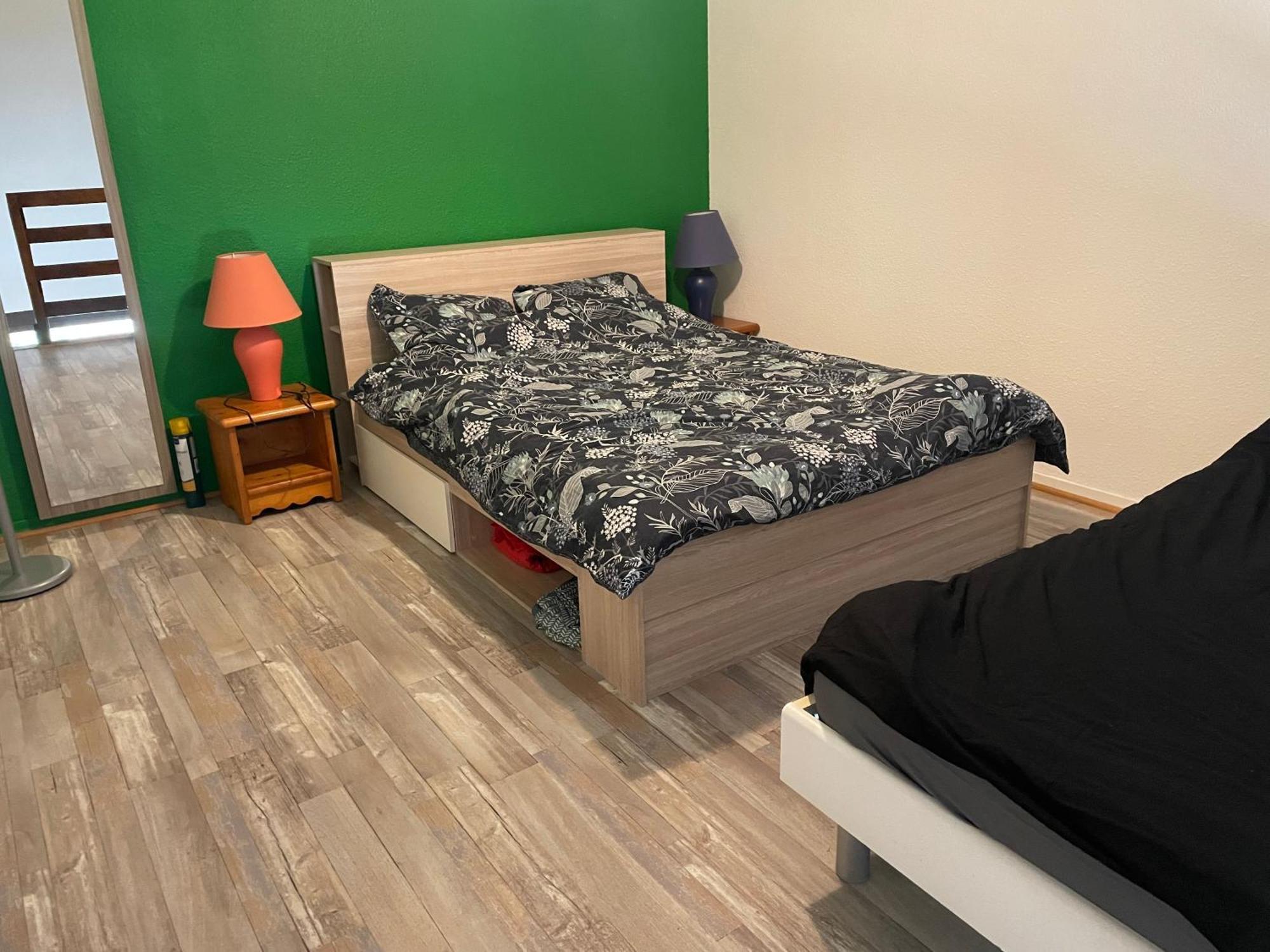 Appartement Duplex T1 Albertville Eksteriør billede