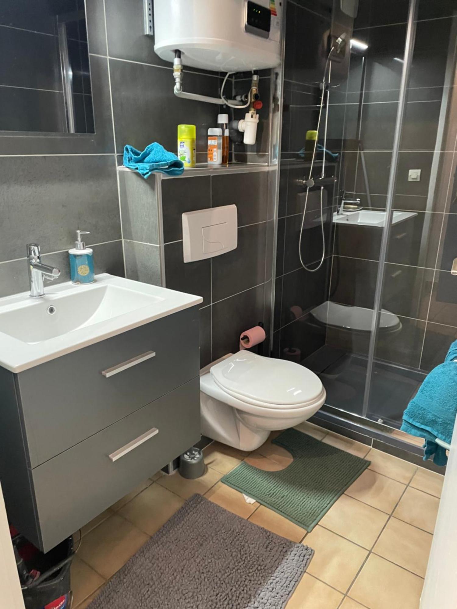 Appartement Duplex T1 Albertville Eksteriør billede