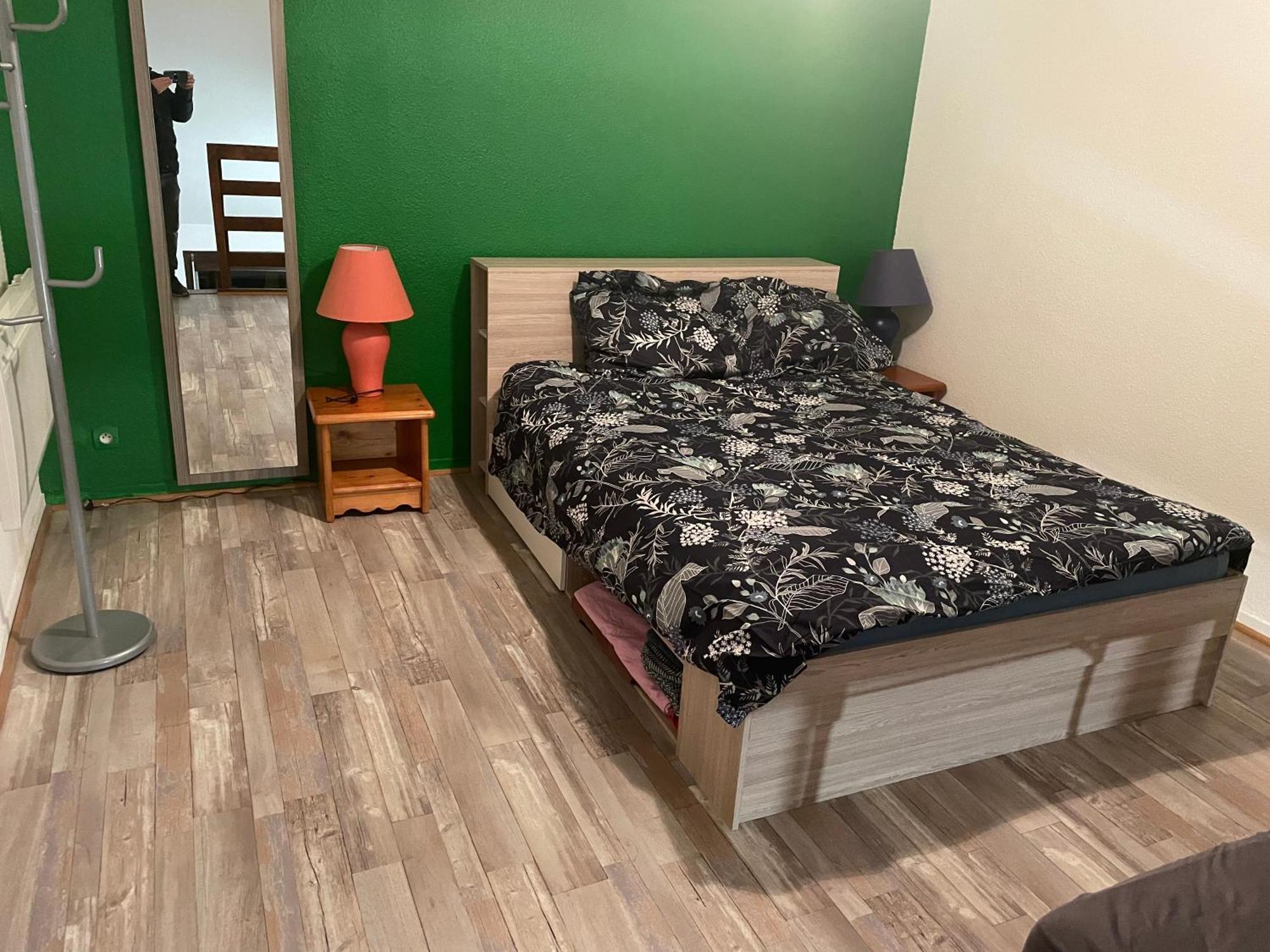 Appartement Duplex T1 Albertville Eksteriør billede