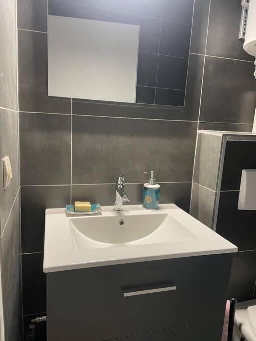 Appartement Duplex T1 Albertville Eksteriør billede