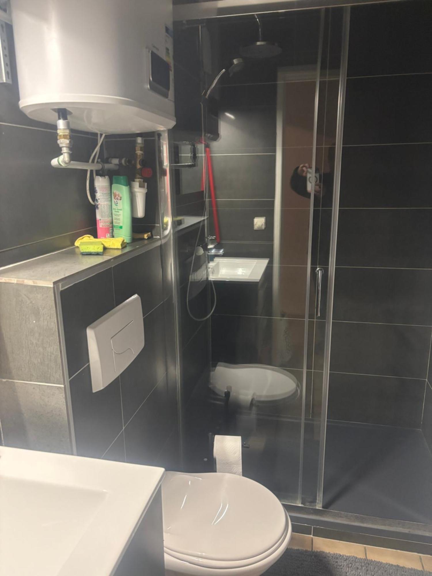 Appartement Duplex T1 Albertville Eksteriør billede
