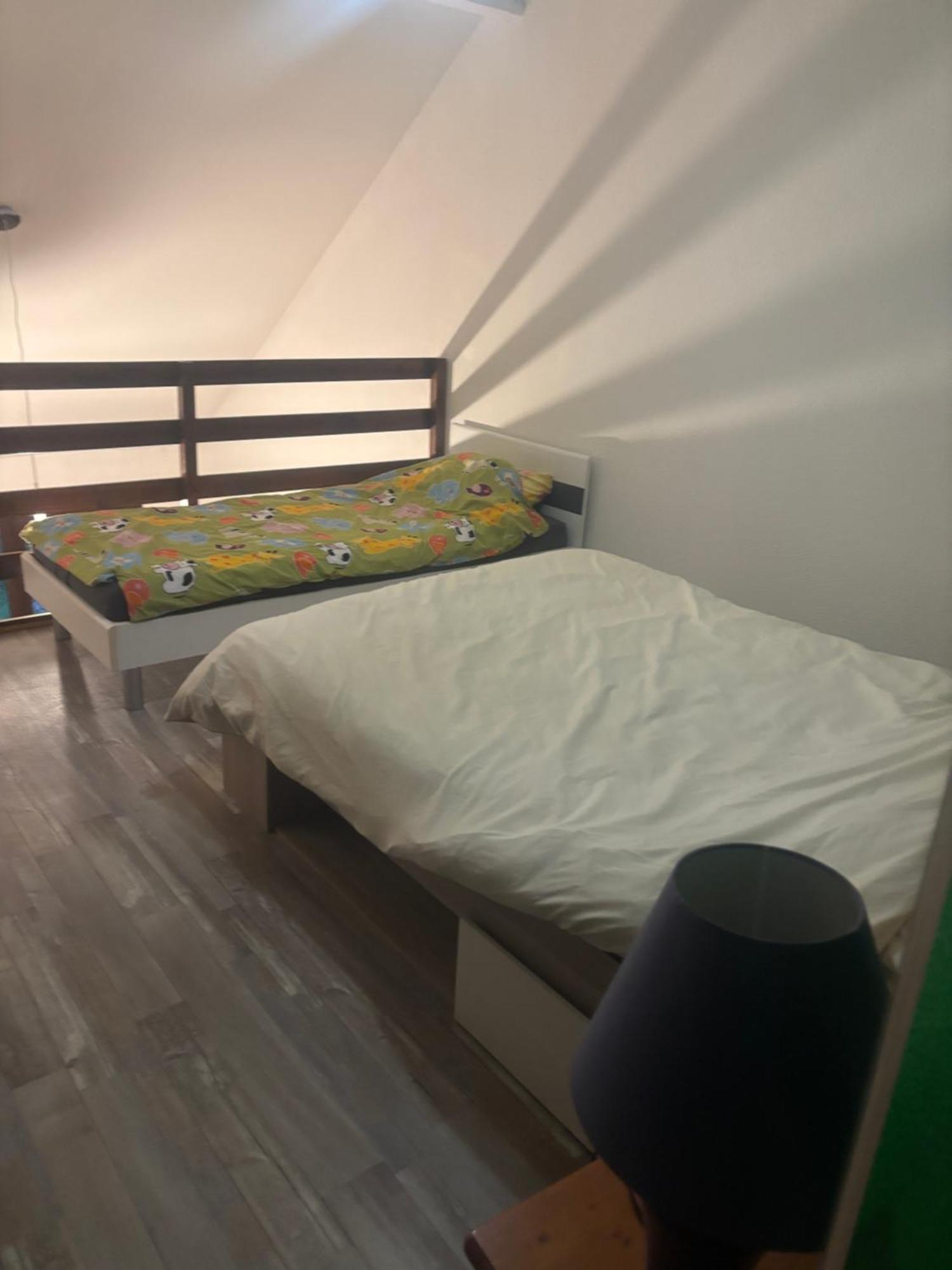 Appartement Duplex T1 Albertville Eksteriør billede
